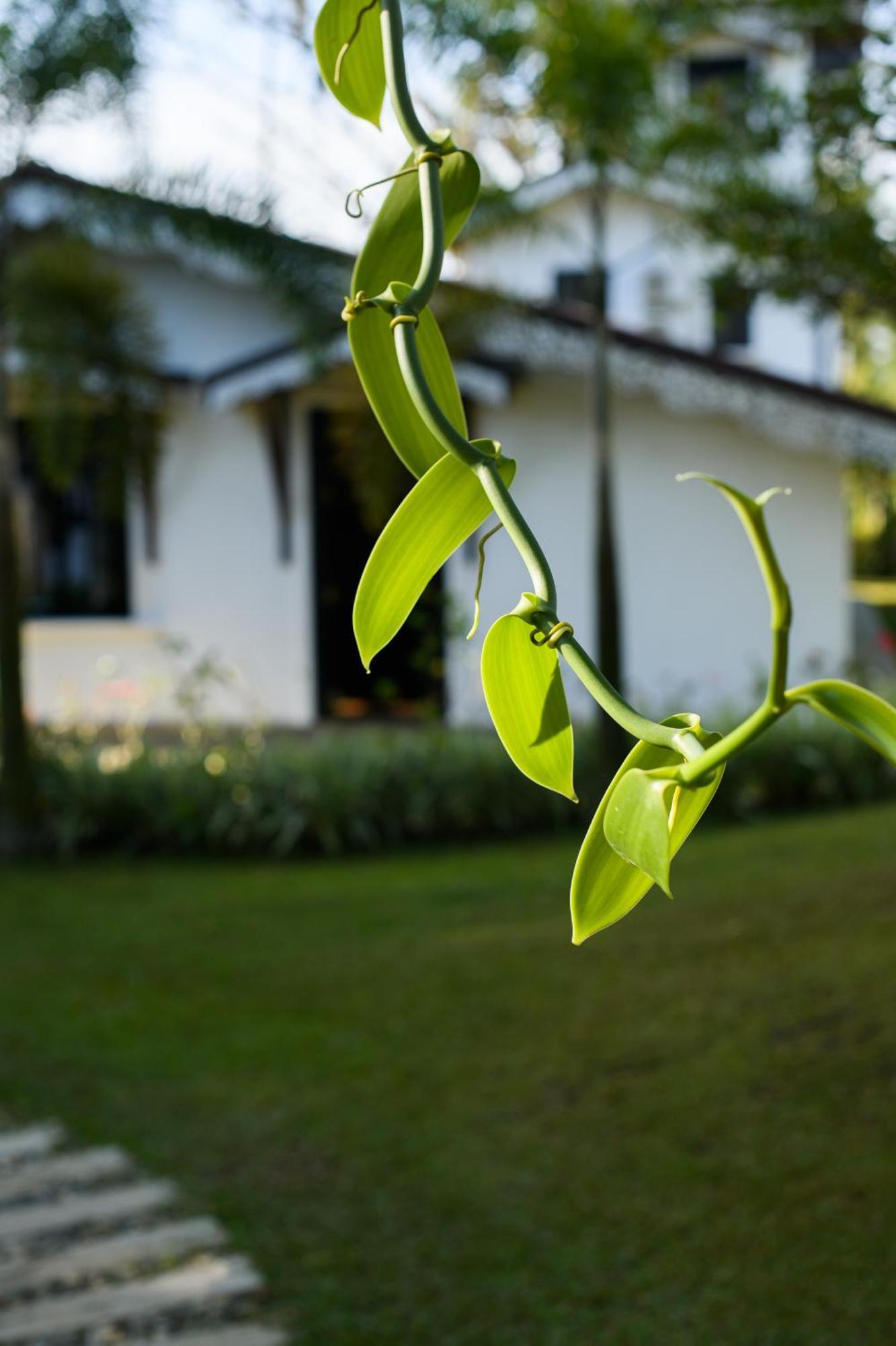 Hotel Roots Retreat Unawatuna Esterno foto